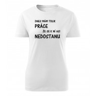 Dnes mám tolik práce že se k ní asi nedostanu